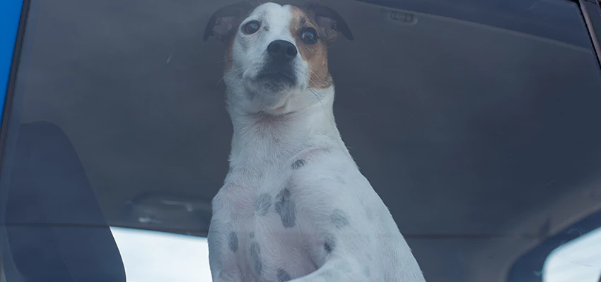 Car Lockout Solutions in Thermalito, California